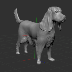 Captura-de-Pantalla-2021-05-09-a-la(s)-22.16.51.png STL-Datei Cocker Spaniel・3D-Druckvorlage zum Herunterladen