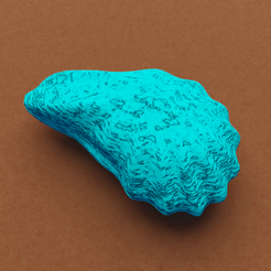oyster-shell.png STL file Oyster Shell・3D print design to download, meharban
