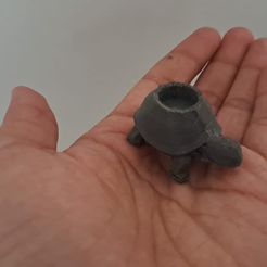 Turtle Cove: Multifunctional Desk Accent & Jewelry Dish
