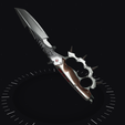 f56b8e51-32ed-42c7-8945-b8db23495199.png Delta Creed Combat Claw Knife Game Cosplay Prop 3D Print Model