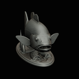 Peacock-Bass-statue-1-3-20.png FISH in motion Peacock bass (Cichla ocellaris) fish natural base detailed texture for 3d printing