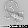 03.jpg FLEXI ARTICULATED CHAMELEON