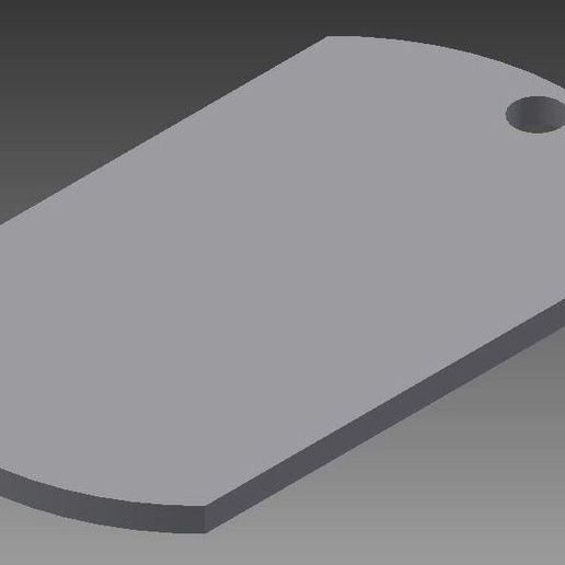 BLANK Military Dog Tags 3D model