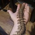 Articulated centipede robot
