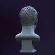 ren12.png Carlos Alcaraz bust for 3D printing