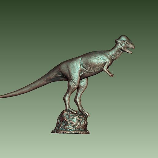 1.jpg Stegoceras validum