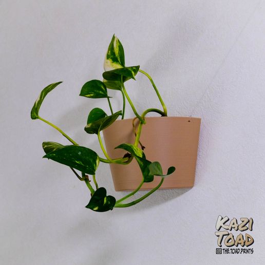 Wall hanging planter 3D model