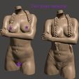 Two diff torsos.jpg GOT is it wrong - by SPARX