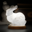 Capture_d__cran_2015-11-21___14.38.53.png Stanford Bunny lamp