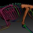 velociraptor-skeleton-full-3d-raptor-dinosaur-bones-3d-model-ddd6dbb225.jpg Velociraptor Skeleton - Full 3D Raptor dinosaur bones