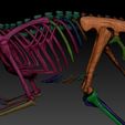 velociraptor-skeleton-full-3d-raptor-dinosaur-bones-3d-model-ddd6dbb225.jpg Squelette de Velociraptor - Ossements de dinosaures Raptor en 3D