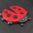 Cod281-Ladybug-Coaster-4.jpeg Ladybug Coaster
