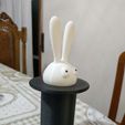 IMG_20180826_112156.jpg Rabbit Magic Hat Toothpick Holder remix