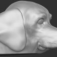 7.jpg Puppy of Pointer dog head for 3D printing