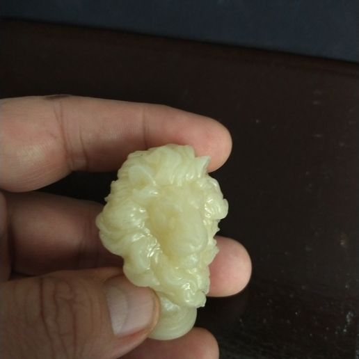 Pieza de ajedrez León