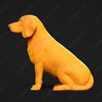 1250-Beagle_Pose_04.jpg Beagle Dog 3D Print Model Pose 04