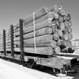 Pole-car.png 50-футовый вагон для бревен/труб в масштабе N с сцепками Micro-Trains