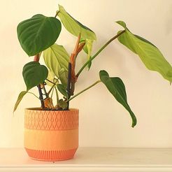 WhatsApp-Image-2022-04-09-at-15.01.33.jpeg Free STL file Patterned Planter・3D printing model to download