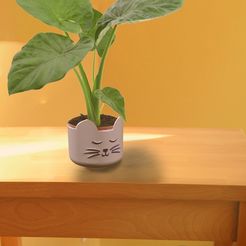 Catia-photo-Chat-copie.jpg STL file CUTE CAT PLANTER POT・3D printable model to download