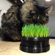 01.jpg Cat Grass Planter