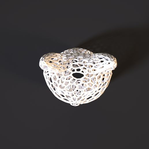 10008.jpg Graceful cat