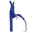 6.png 主动脉和冠状动脉 3D 模型 - 6 件装