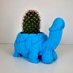 20230608_081800.jpg STL-Datei Dicky Turtles Blumentopf B・3D-Druck-Idee zum Herunterladen