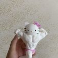 IMG_6462.jpg Muscle Hello Kitty