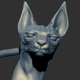 4.png Sphynx Cat
