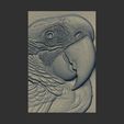 macaws-head-17.jpg relife carving of c macaw head