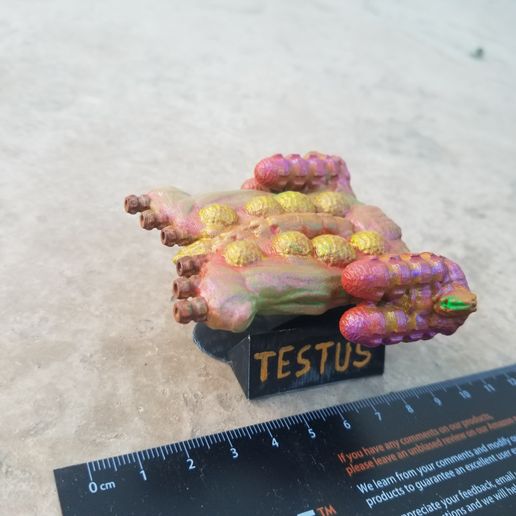 Testus Class Organic Starship - 3D model önizlemesi