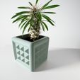 DSC09965.jpg The Novo Square Planter Pot with Drainage Tray: Modern and Unique Home Decor for Plants and Succulents  | STL File