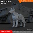 02.jpg ARMORED DOG 01