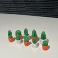 IMG_4383.jpg Imanes de nevera con cactus
