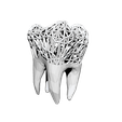 9.png STL file Jewelry tooth・3D printer design to download