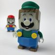 IMG_0877_2.jpg Luigi - "LEGO LUIGI" style - Super Mario - complete set