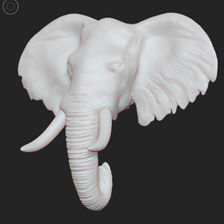 Captura-de-pantalla-2021-04-27-a-la(s)-08.58.37.png Fichier STL tête d'éléphant・Objet pour impression 3D à télécharger, carocadelago2