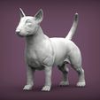 bull-terrier2.jpg bull terrier 3D print model
