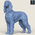 Resin-1400.jpg Afghan Hound Dog