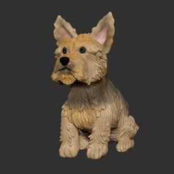 yorkshire.jpg STL file Yorkshire・3D print model to download