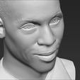 19.jpg Reggie Miller bust 3D printing ready stl obj formats