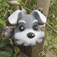07-MACETA-SCHNAUZER.jpg SCHNAUZER POT
