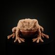Giant-toad-(2).jpg Frogfolk: Giant Toad