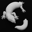 Pose2Parts-min.png Gila Monster Lizard - Realistc Venomous Reptile