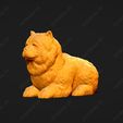 3841-Chow_Chow_Smooth_Pose_07.jpg Chow Chow Smooth Dog 3D Print Model Pose 07