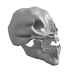 troll-skull-1.2.png 3 Head Cave Troll of Moria skull