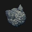 10.jpg Skull wolf scalp