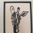 20190728_161926 (2).jpg frame half giraffe half zebra