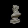 23.jpg Arthur Schopenhauer 3D printable sculpture 3D print model