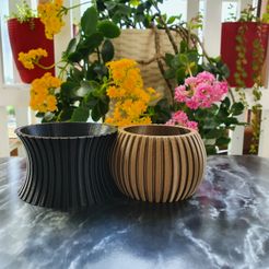 , r A STL file Mini Plant Flower Pots・3D printing idea to download